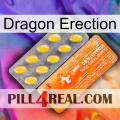 Dragon Erection new05